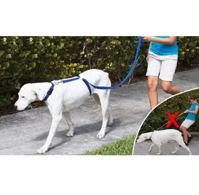 Високоякісний щільний міцний Повідець нейлоновий Для Собак The Instant Trainer Leash більше 30 кг підходить для будь-яких собачок із зручною гумовою ручкою  1.80 м гуманний повідець для дресировок  і вигулу