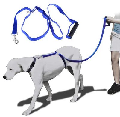 Высококачественный плотный прочный Поводок нейлоновый Для Собак The Instant Trainer Leash более 30 кг подходит для любых собачек с удобной резиновой ручкой  1.80 м гуманный поводок для дрессировок  и выгула