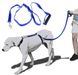 Высококачественный плотный прочный Поводок нейлоновый Для Собак The Instant Trainer Leash более 30 кг подходит для любых собачек с удобной резиновой ручкой  1.80 м гуманный поводок для дрессировок  и выгула