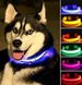 Нашийник для собак, що світиться, на акумуляторі USB GLOW RING, Led маячок для тварин кішок і собак, в асортименті
