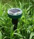 Відлякувач гризунів кротів та комах на сонячній батареї Solar Rodent, Зелений